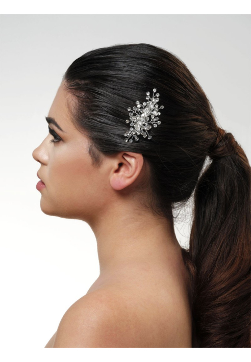 Poirier BB-280 Haarkam ()