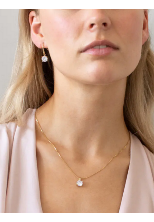 Abrazi Ava Drop Oorbellen Rose