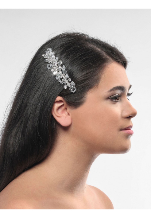 Poirier BB-1581 Haarkam ()