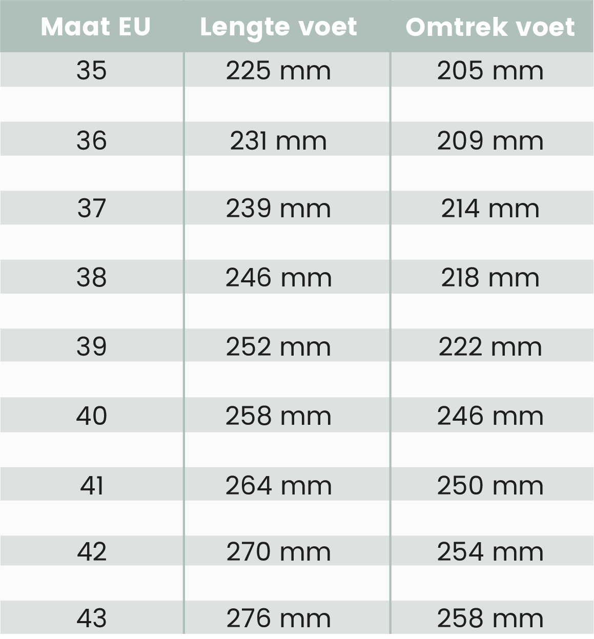 maattabel bruidsschoenen G.westerleigh